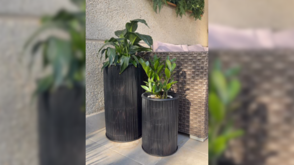 Transforma tus macetas con Pintyplus